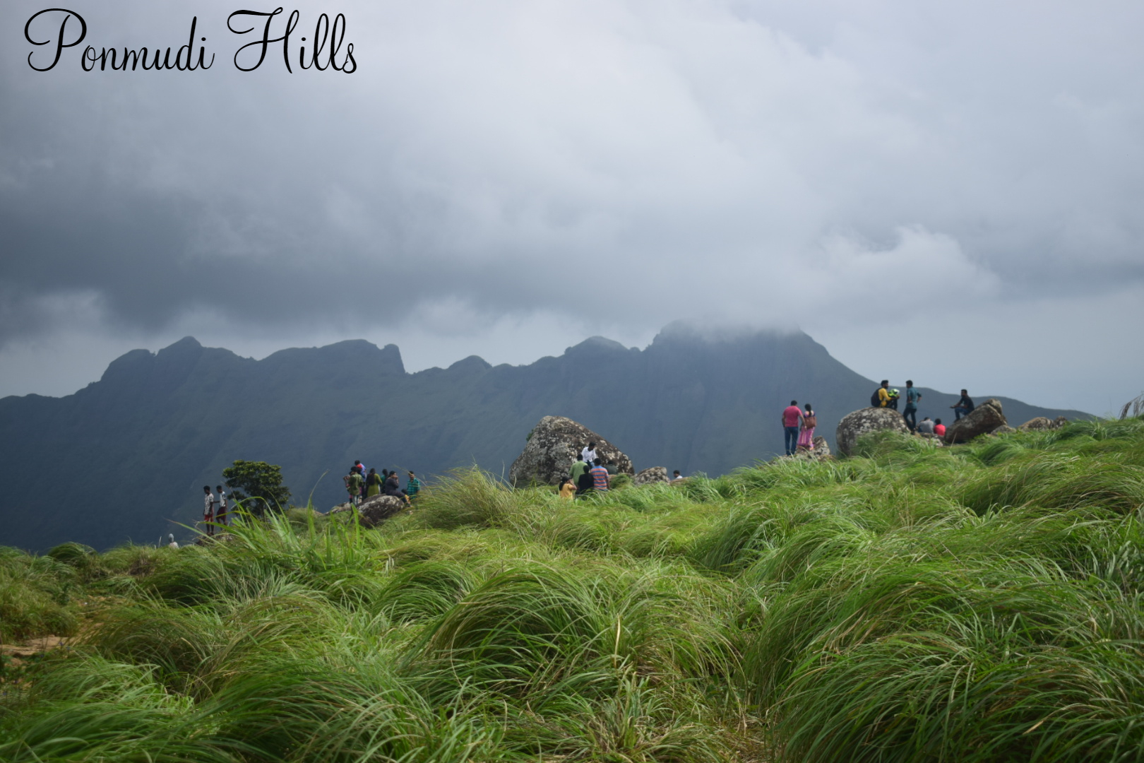 Ponmudi Hills